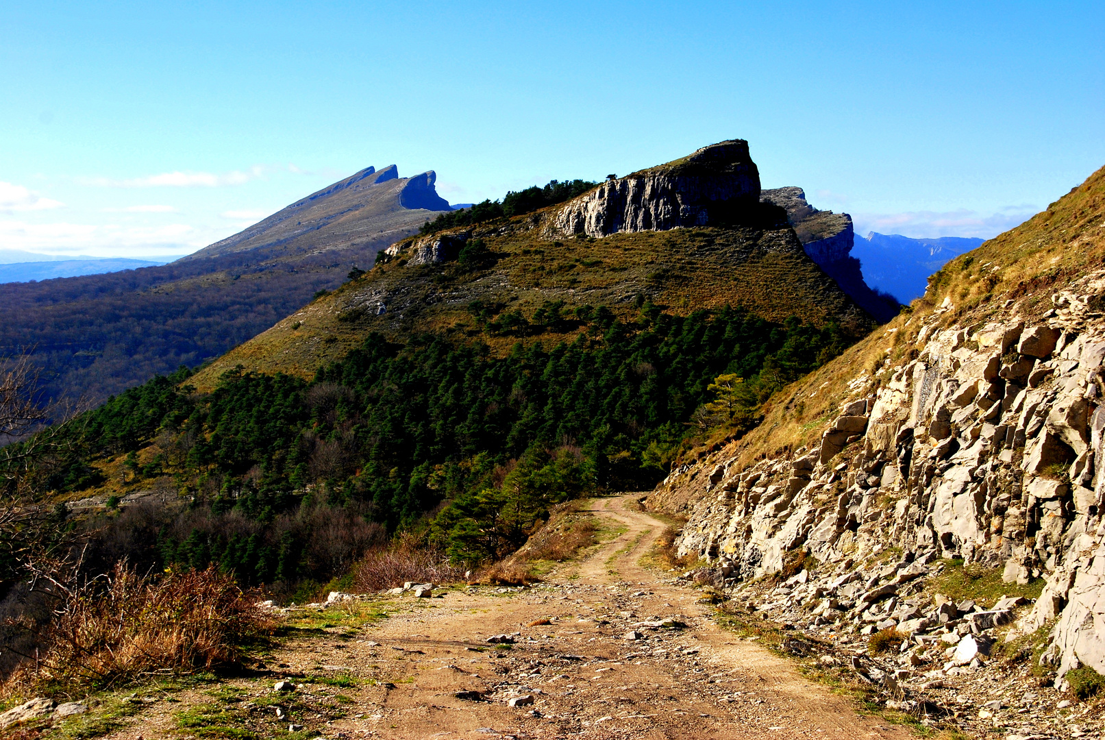 Dientes de Sierra