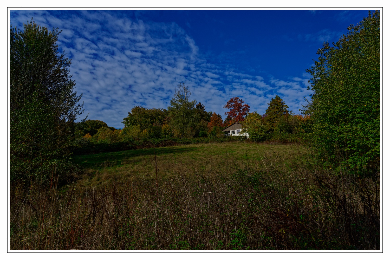 Diepental Graslandschaft mit blauem Himmel_DSC1329