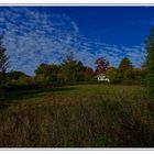 Diepental Graslandschaft mit blauem Himmel_DSC1329