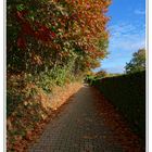 Diepental Weg mit herbstlicher Hecke_DSC1332