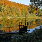  Diepentalsperre im herbstlichen Kleid