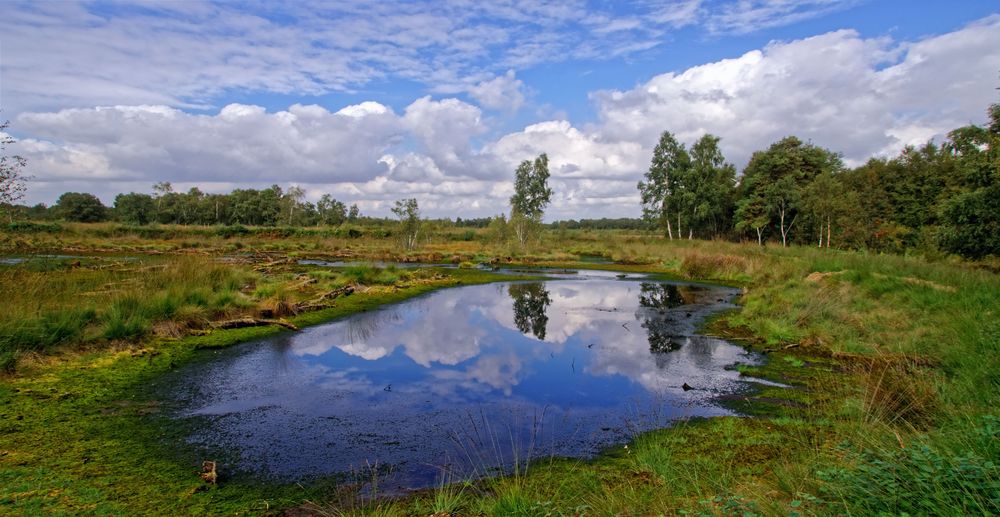 Diepholzer Moor Foto & Bild | wolken, himmel, natur Bilder auf