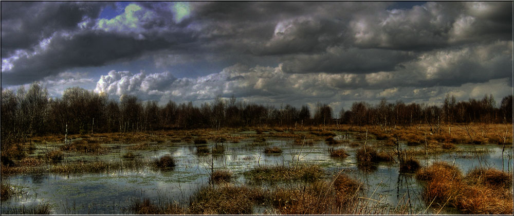 Diepholzer Moor Foto & Bild | bearbeitungs - techniken, hdri & tm, auf