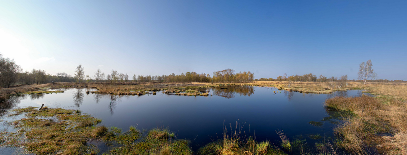 Diepholzer Moor es wird Frühling :-)