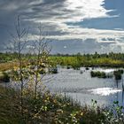 Diepholzer Moor im Herbst !