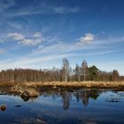 Diepholzer Moor im März !