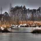 Diepholzer Moor (Keine Moorleichen gefunden)