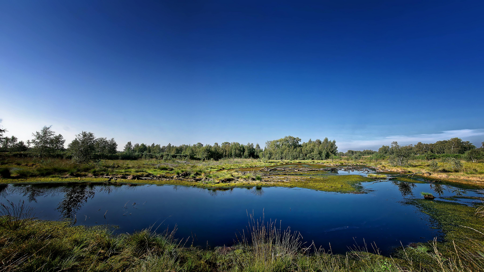Diepholzer Moor-Panorama ! Foto & Bild | landschaft, moor, fotomontage