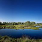 Diepholzer Moor-Panorama !