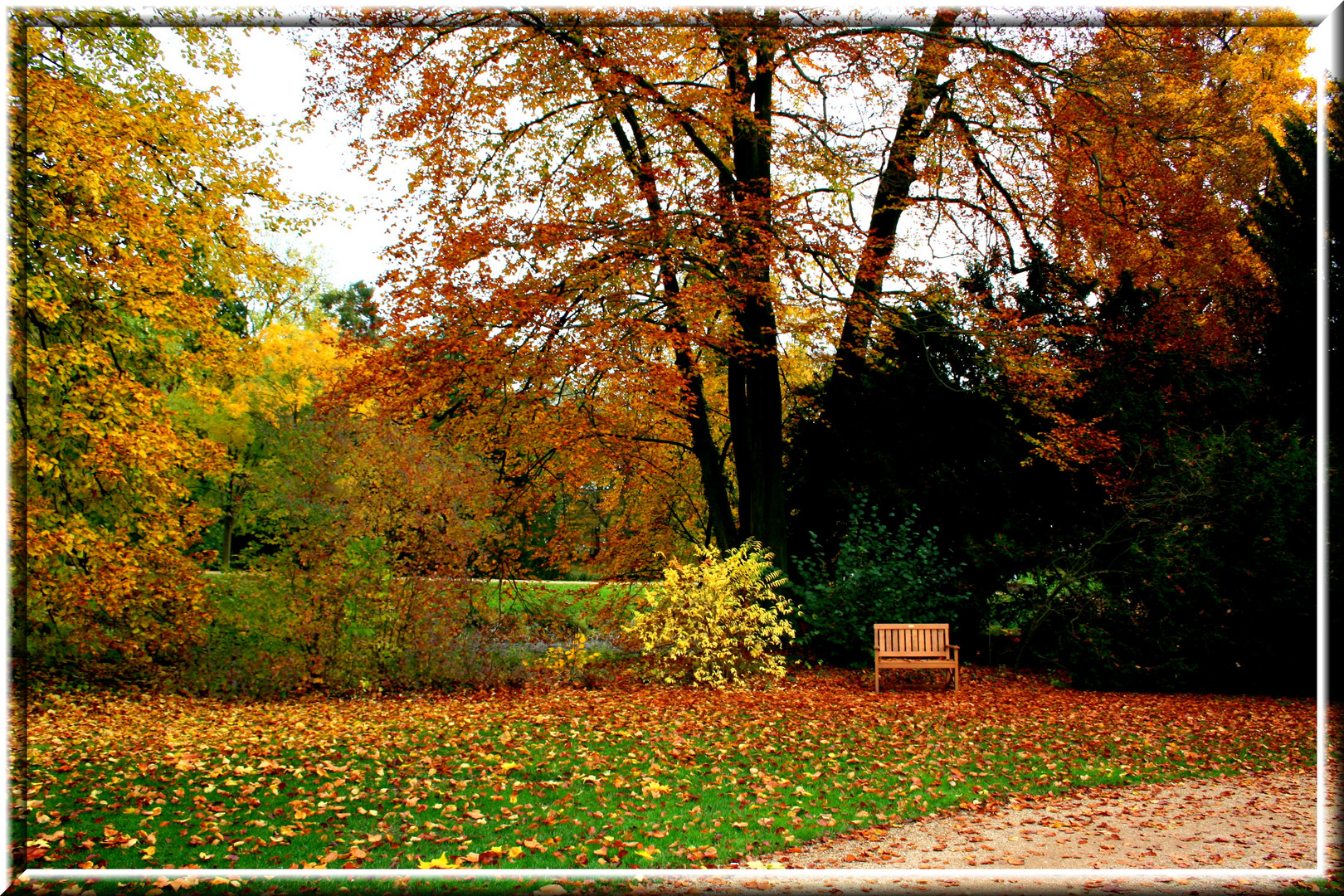 Dies ist des Herbstes leidvoll süße Klarheit ...