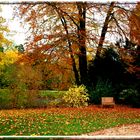 Dies ist des Herbstes leidvoll süße Klarheit ...