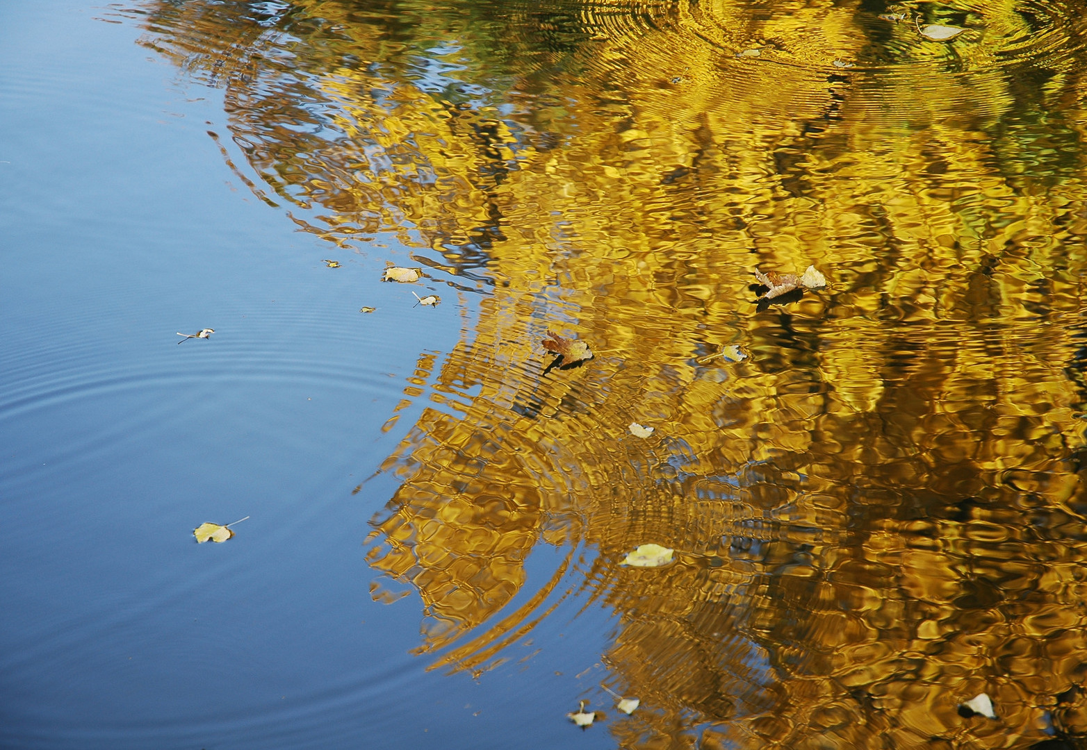 Dies ist ein Herbsttag...