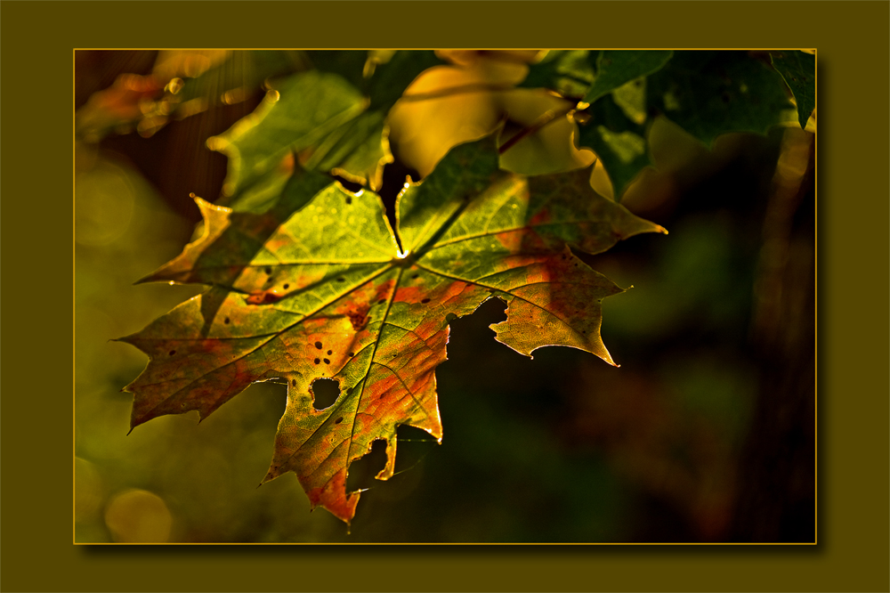 Dies ist ein Herbsttag,