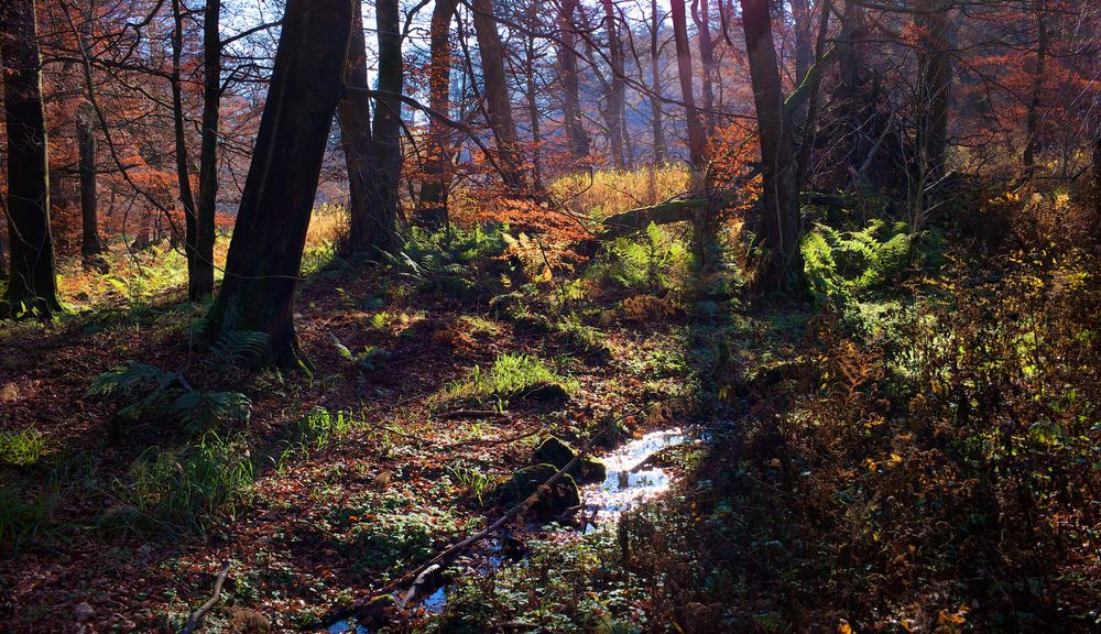 "Dies ist ein Herbsttag, wie ich keinen sah...