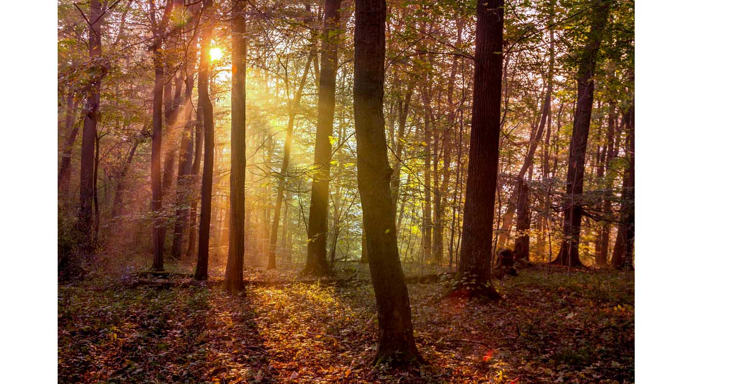 Dies ist ein Herbsttag, wie ich keinen sah...