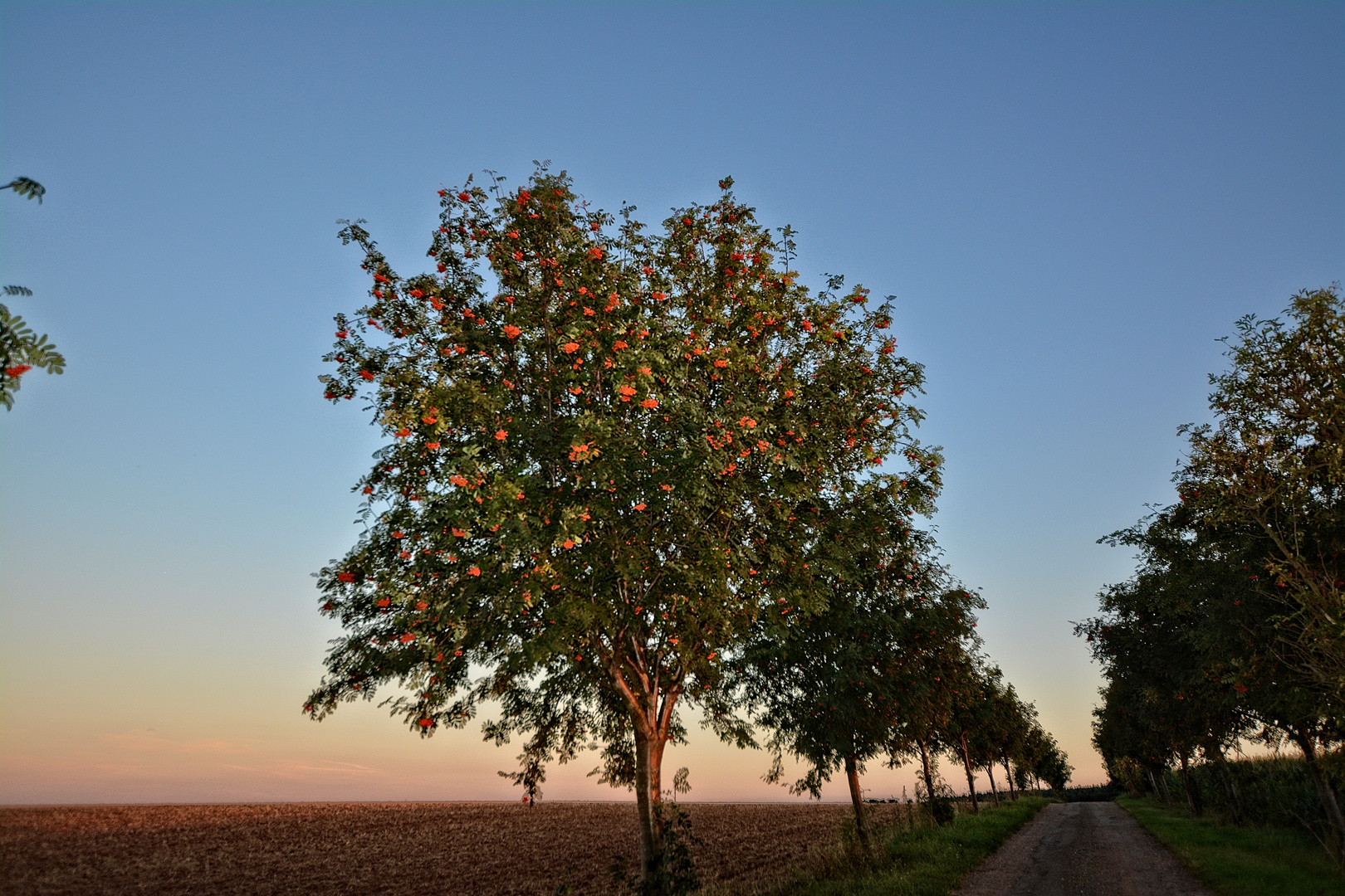 Dies könnte der Weg ins Paradies sein