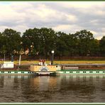 Diesbar Elbe nahe Dresden 2020-07-24 292 (92) ©