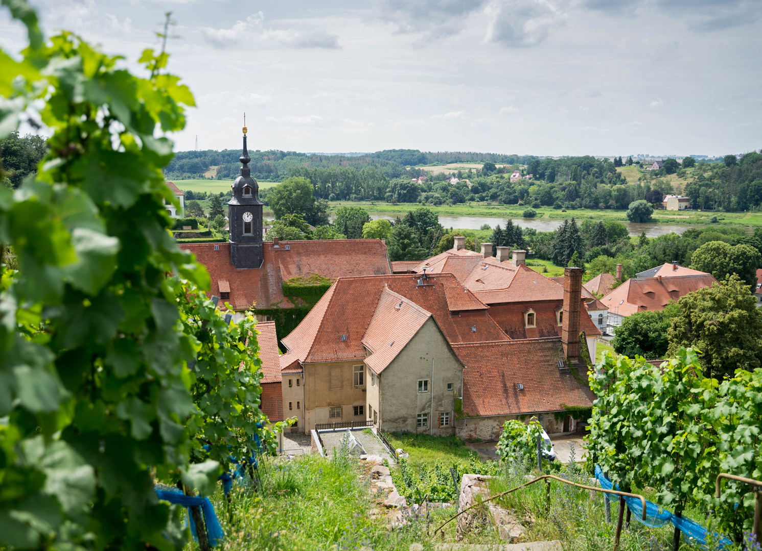 Diesbar Seuslitz Schlosskomplex