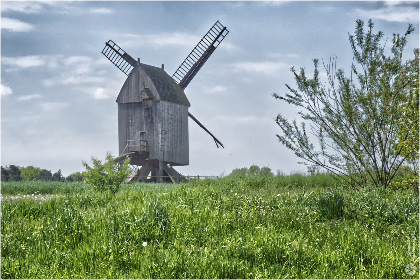 Diesdorf, Bockwindmühle im Freilichtmuseum