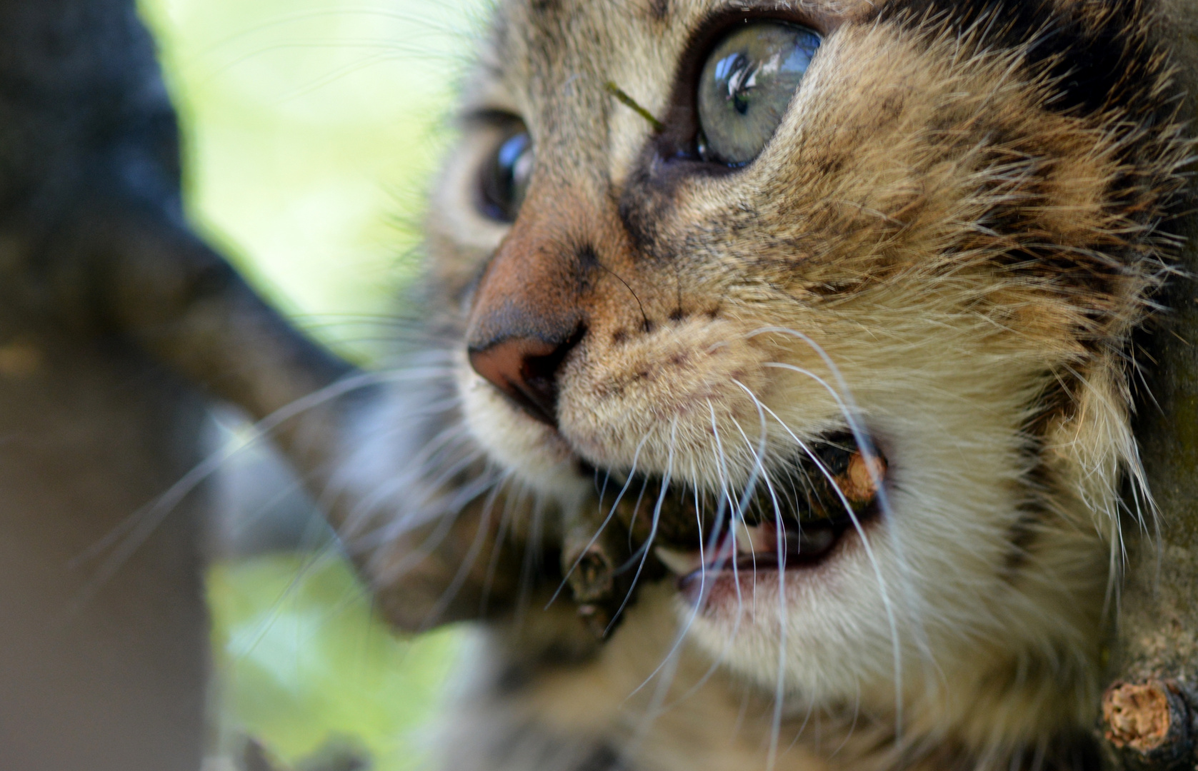 Diese Augen........