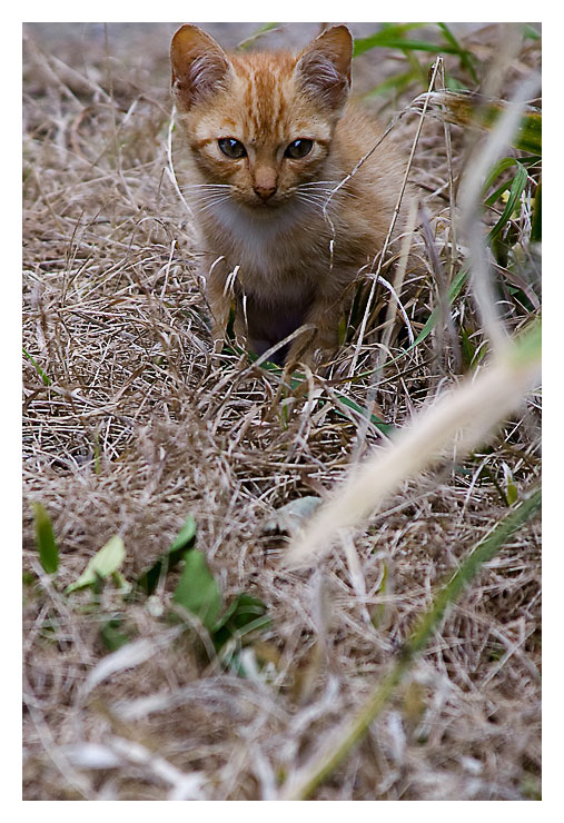 diese Augen-Blick