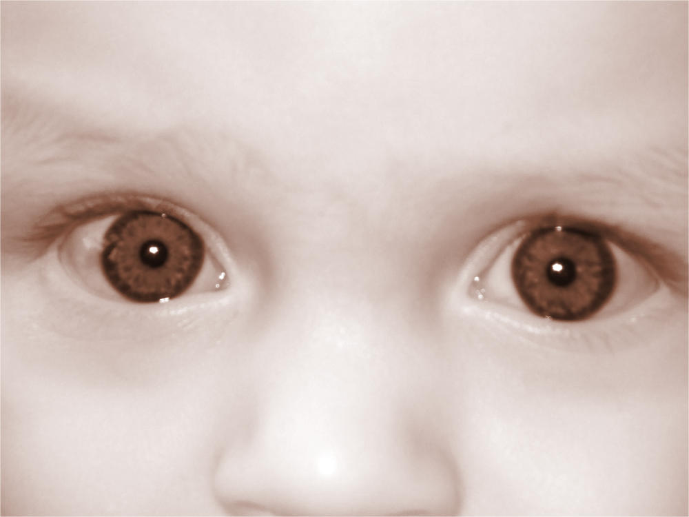 Diese Augen sind so neugierig ...