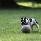 Diese Ballbehandlung ... zum Zunge schnalzen!