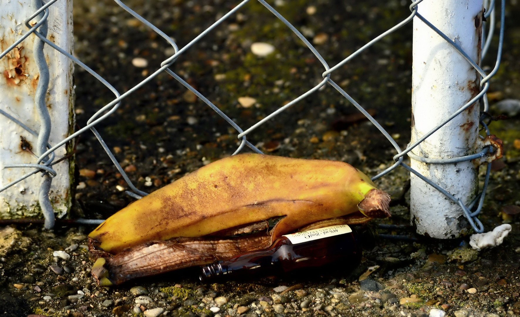 Diese Bananen liegen einem auch immer so schwer im Magen! 