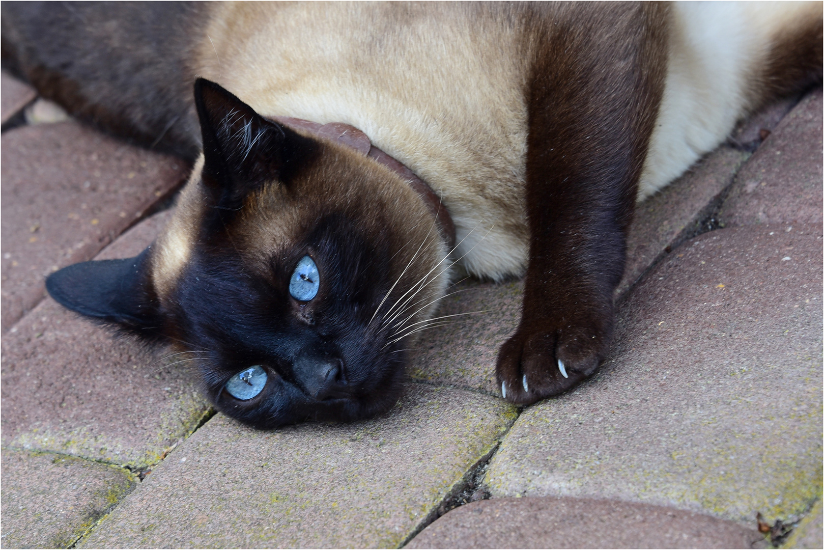 diese blauen Augen...