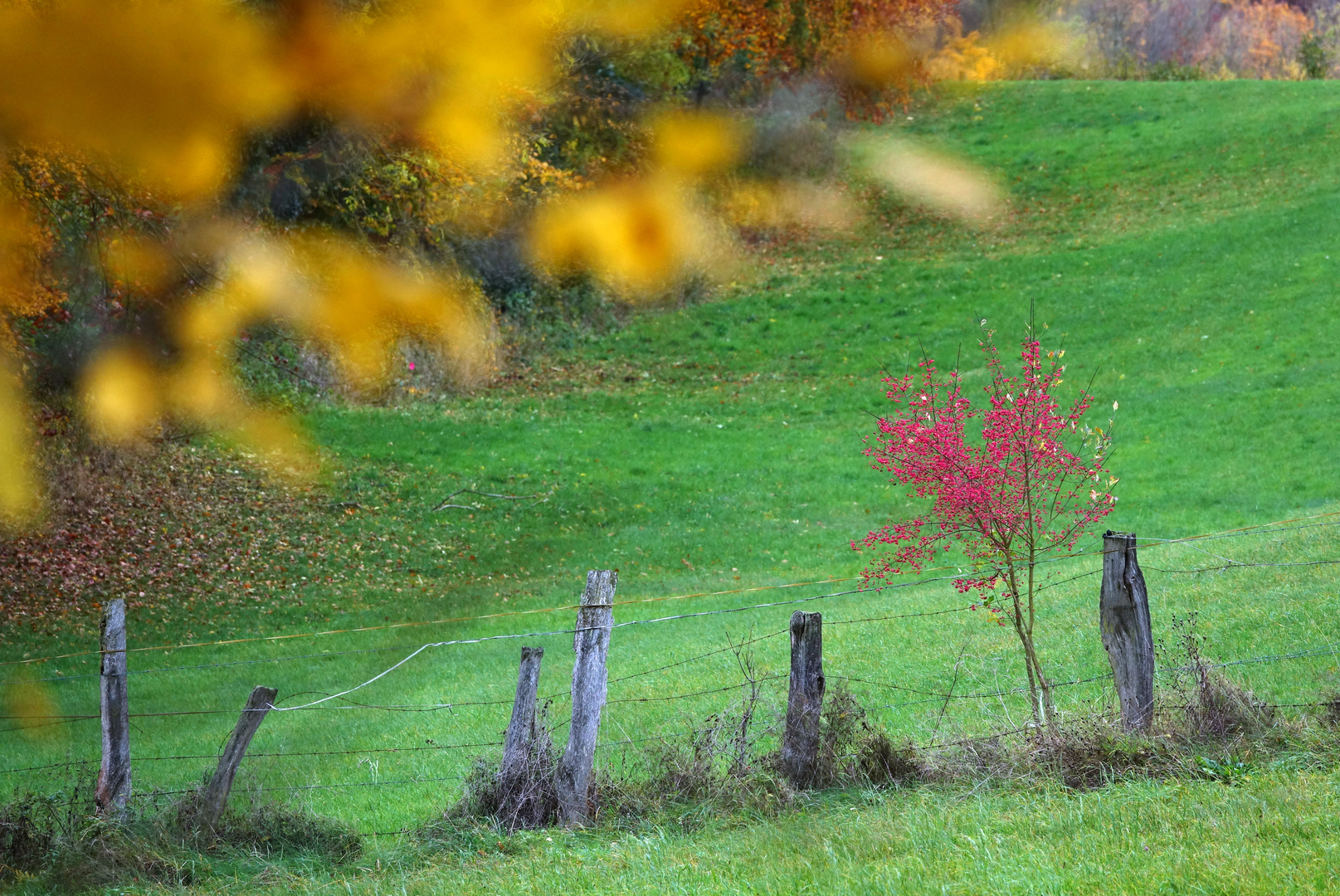 Diese bunte Herbstkollektion