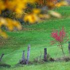 Diese bunte Herbstkollektion