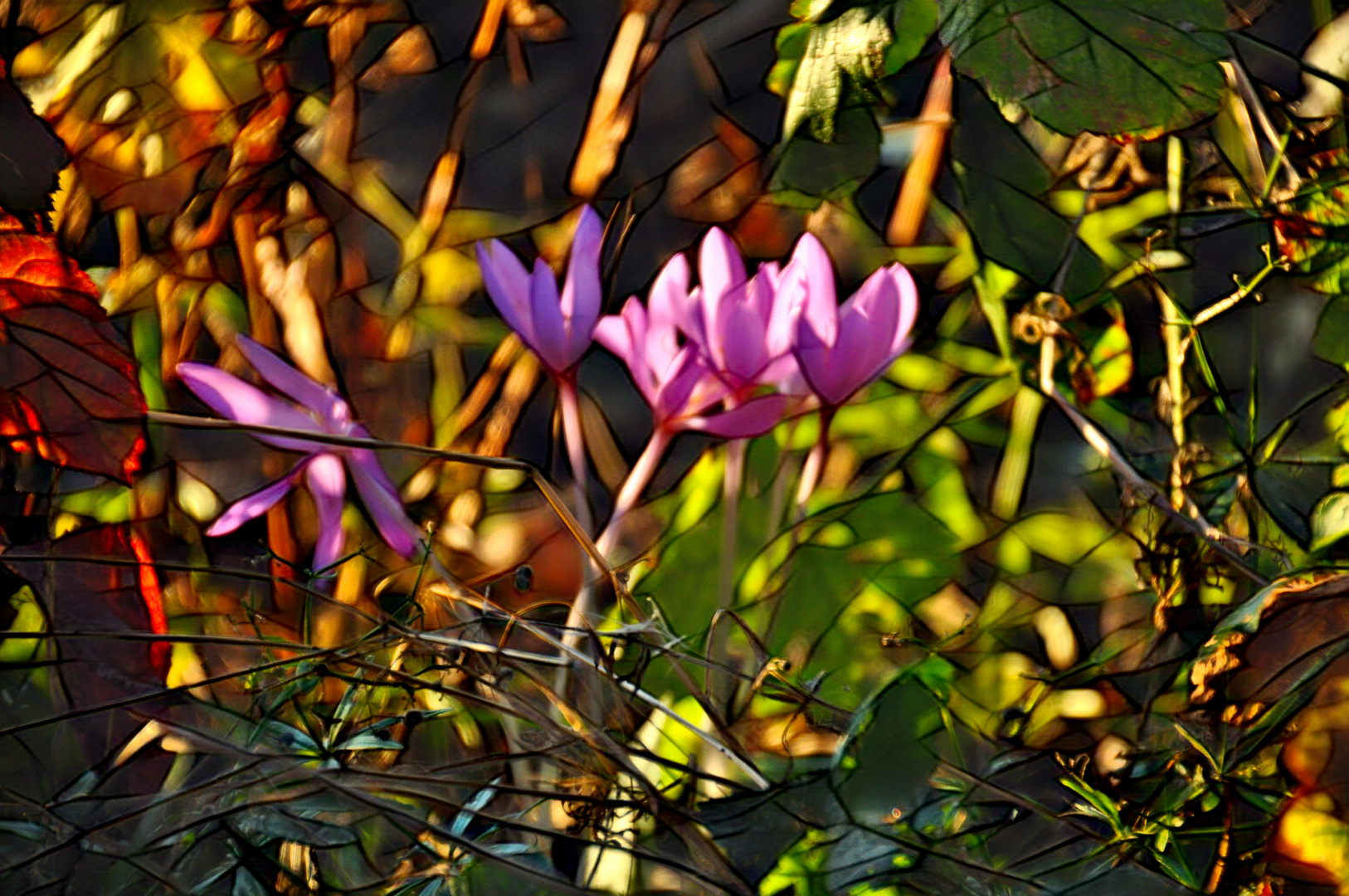 Diese Herbstzeitlosen im Sonnenlicht ... - Filter Bunter Glas