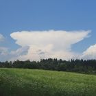 Diese herrliche Ambosswolke (Cumulonimbus)...