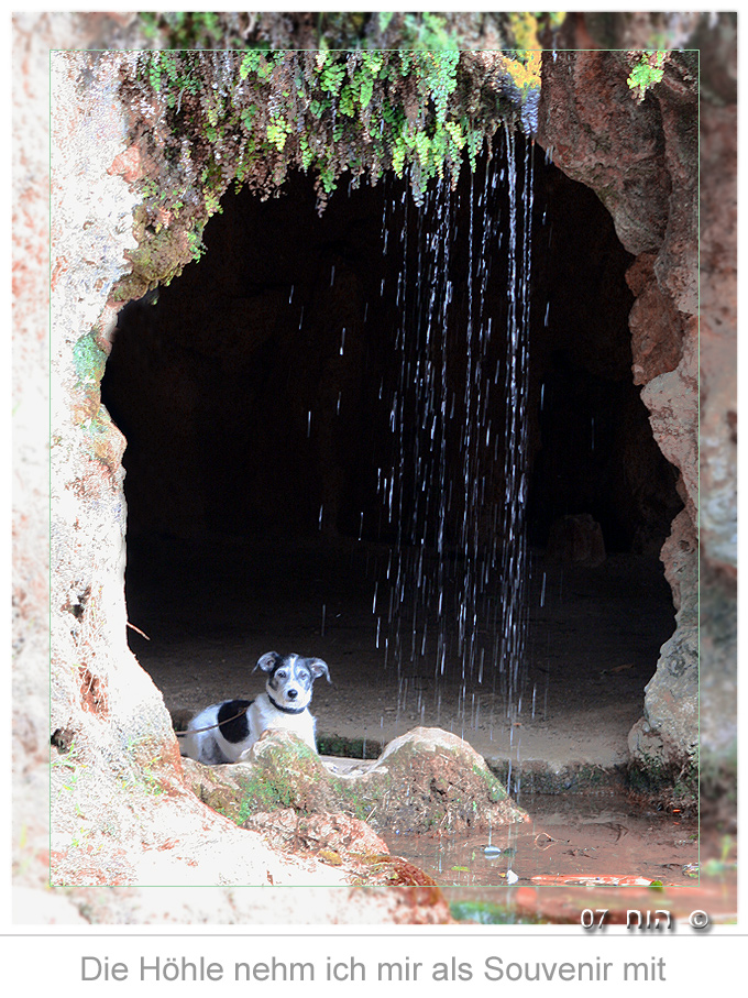 Diese Höhle ist ab jetzt MEINE Hundehütte!