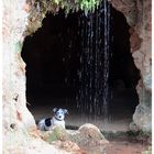 Diese Höhle ist ab jetzt MEINE Hundehütte!
