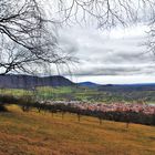 diese Landschaft einmal in Farbe (auch für Conny)