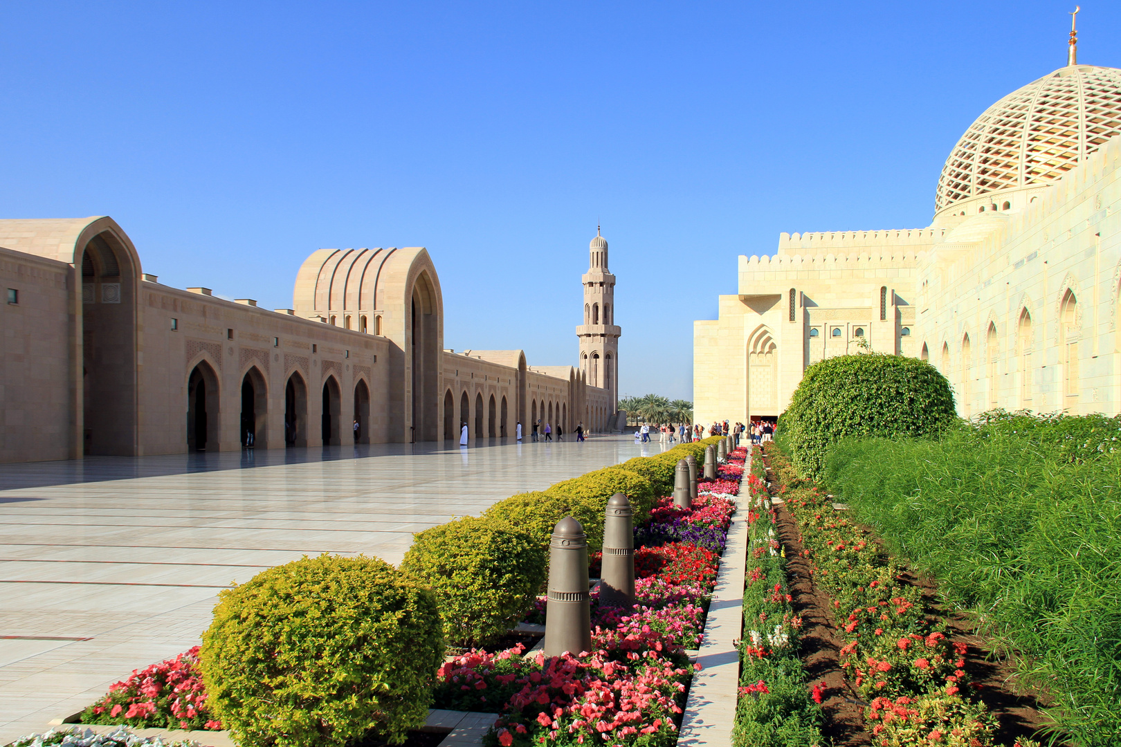 Diese Mittwochsblümchen fand ich in der omanischen Hauptstadt Muscat.