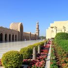 Diese Mittwochsblümchen fand ich in der omanischen Hauptstadt Muscat.