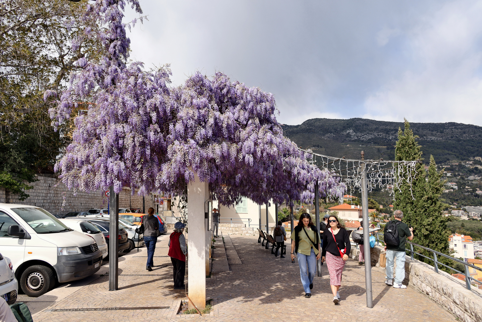 Diese Mittwochsblümchen fand ich letzte Woche in Menton (Südfrankreich)