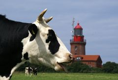 Diese Model-Dasein hängt mir manchmal so zum Halse raus...