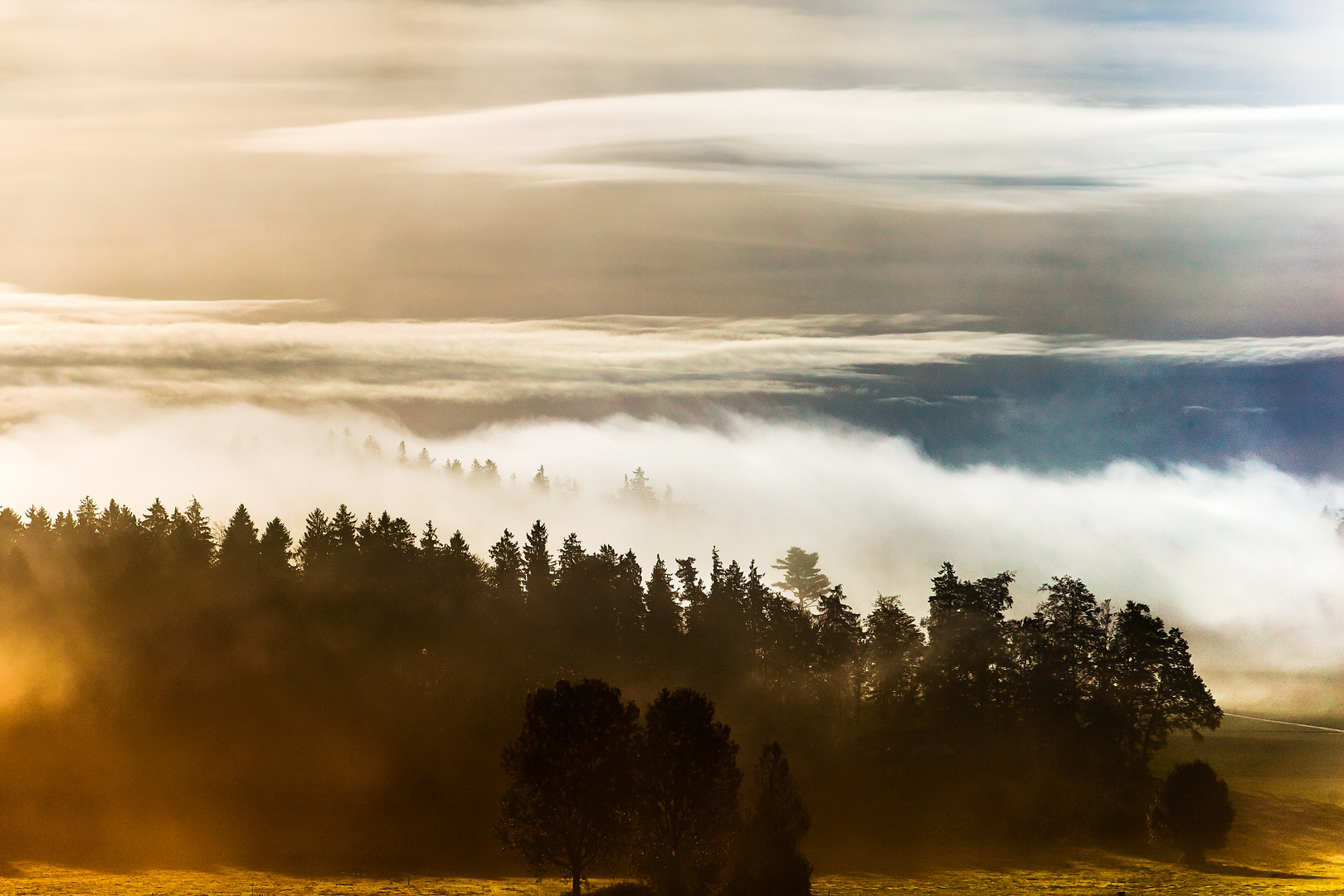 Diese Morgen im Herbst