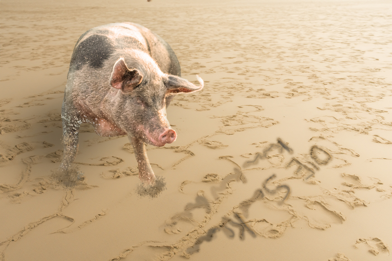 Diese Sauklaue kann doch kein Schwein lesen