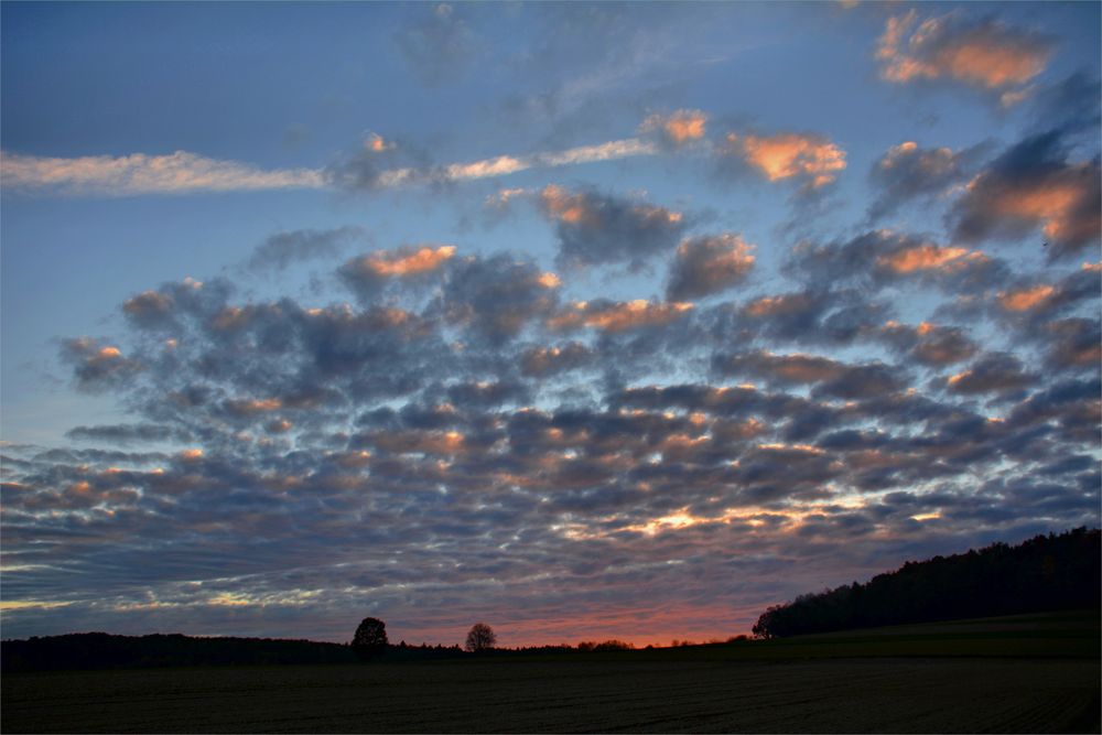 diese Schäfchenwolken....