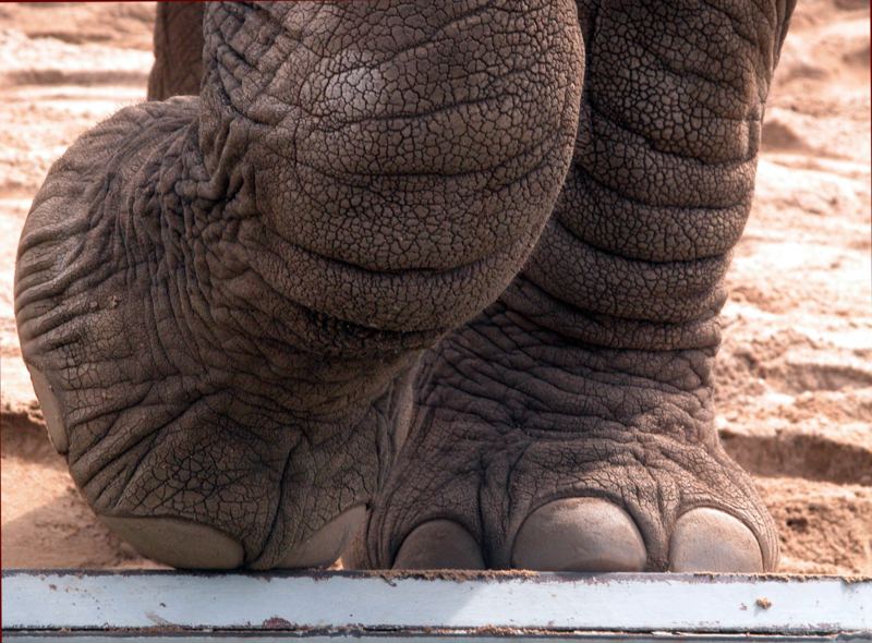 Diese Schuhgröße nicht im Hande erhältlich :)