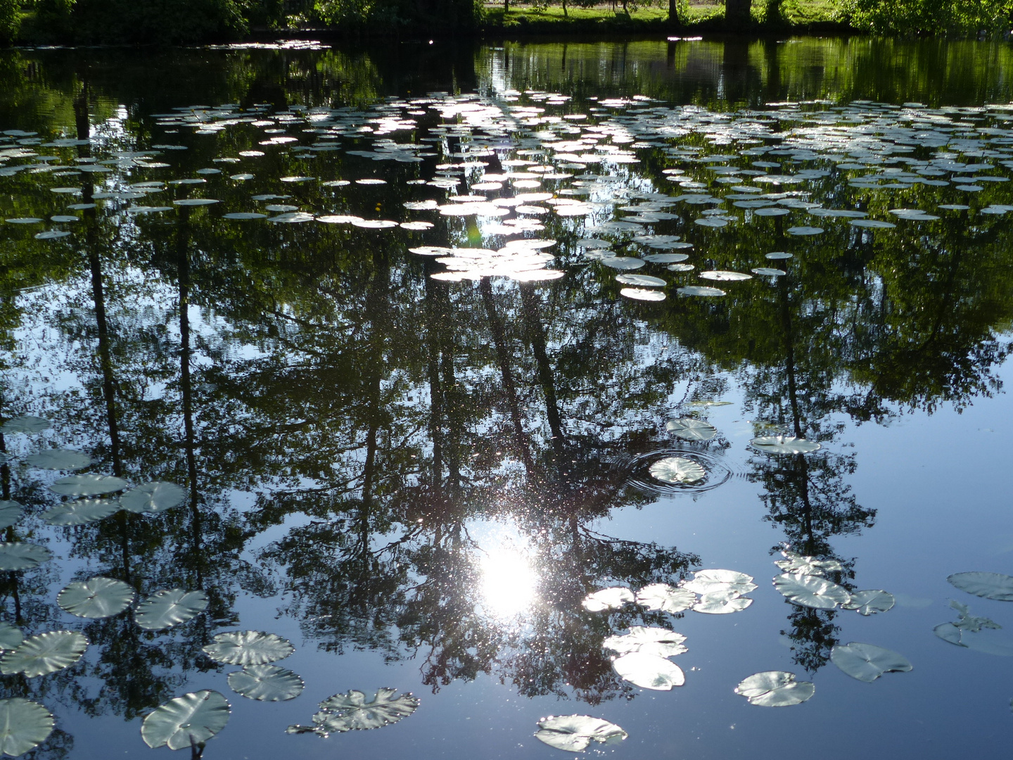 Diese Spiegelung im Pfefferteich Salzwedel möchte meine Enkelin Nadine