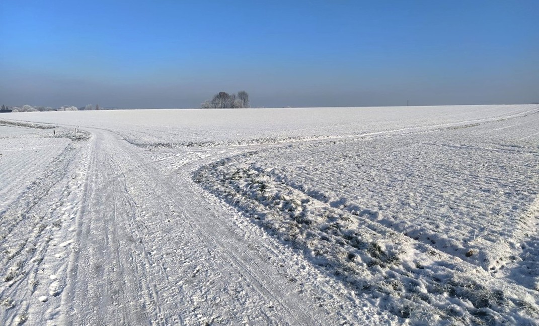 Diese winterliche Pracht vom letzten Wochenende ....