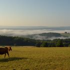 Diese Woche bleibt uns der Spätsommer noch erhalten, das...