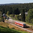 Diesel auf der Dreiseenbahn....