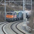 "Diesel" im Elbtal (1)