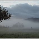 Dieselbe Landschaft am nebligen Herbstmorgen